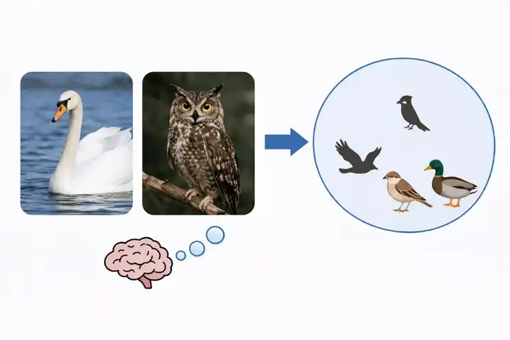 Nature Communications