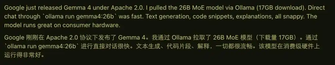 Google AI Edge Gallery