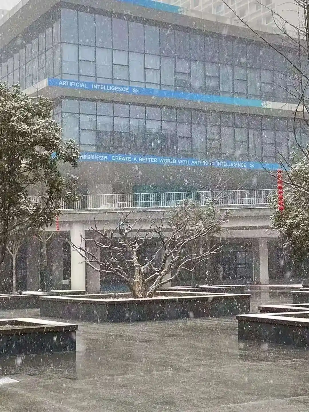 程序员
