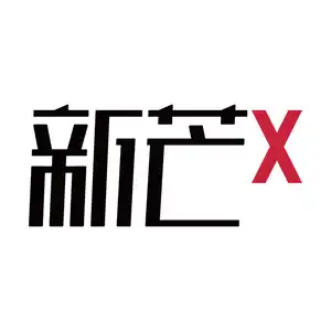 新芒X