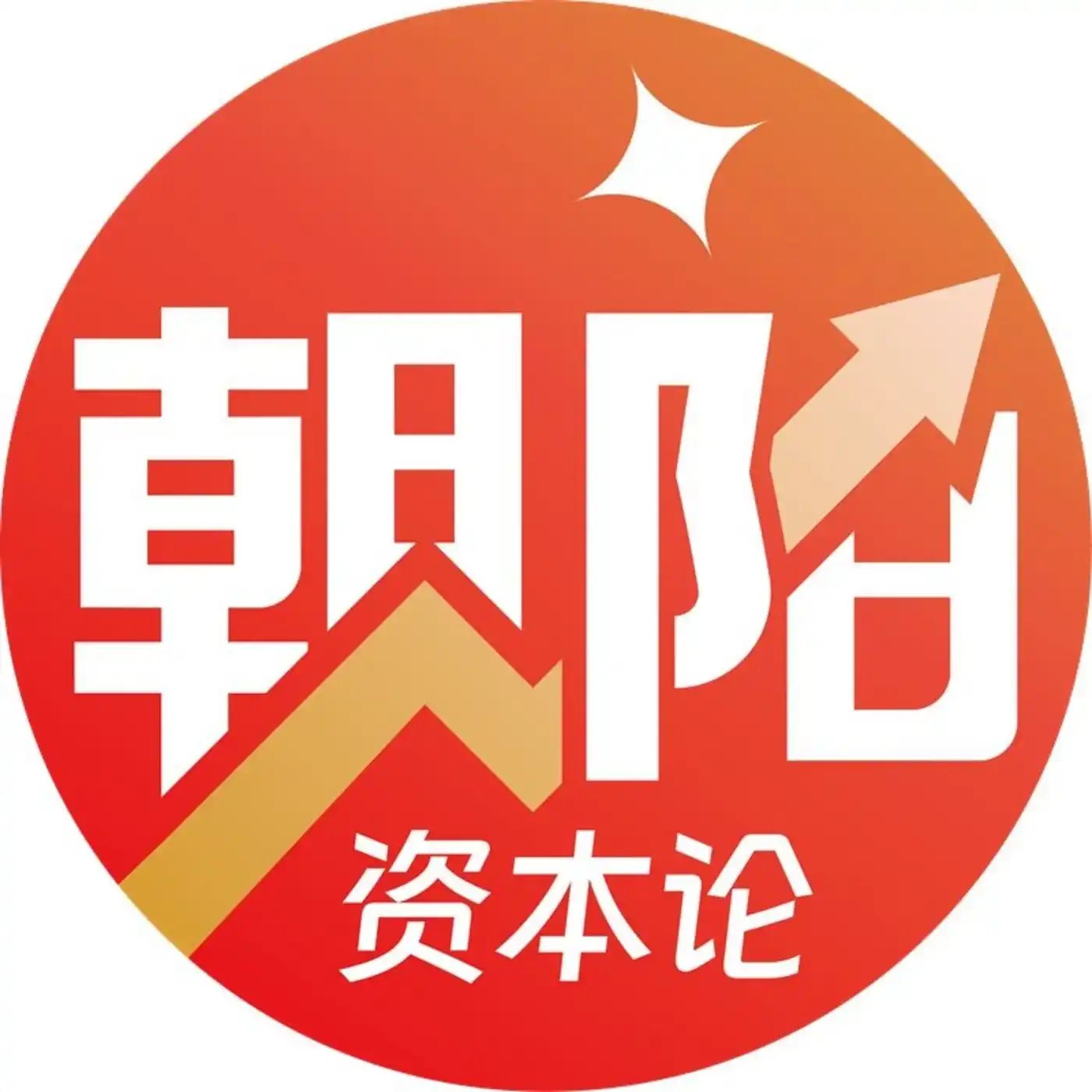 朝阳资本论