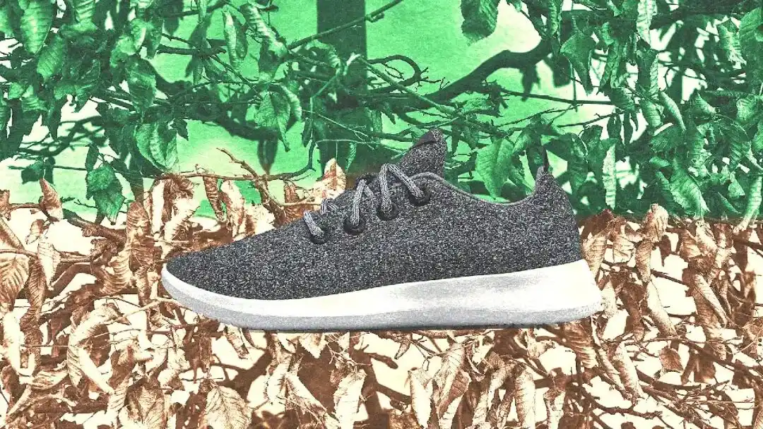 Allbirds