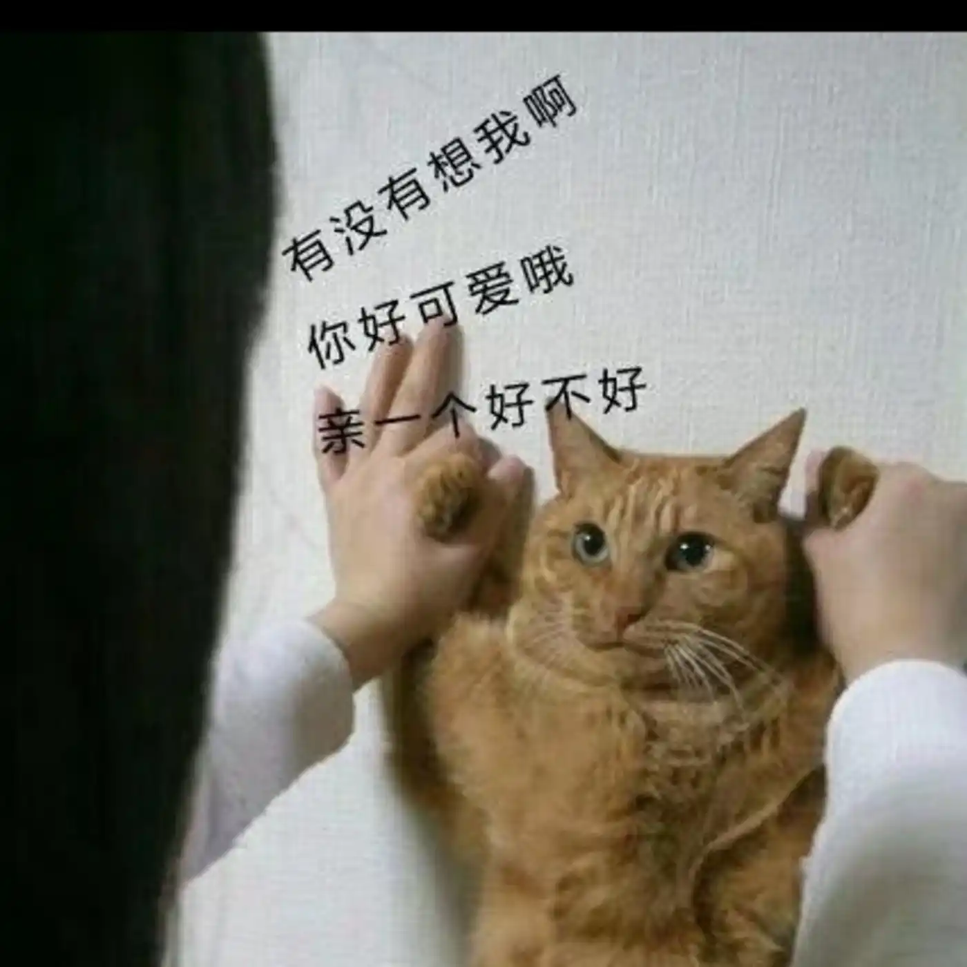 散落拾获