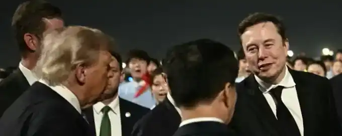 苹果