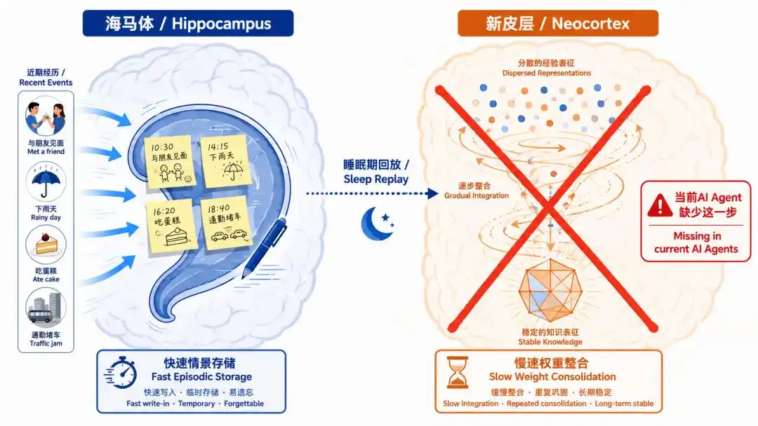 浙江大学