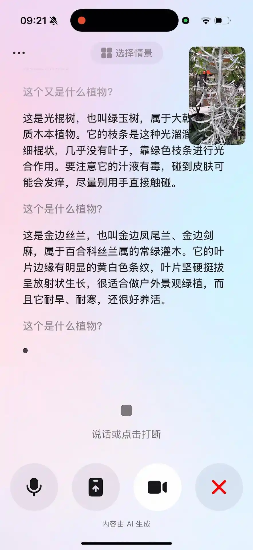千问