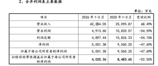 人形机器人
