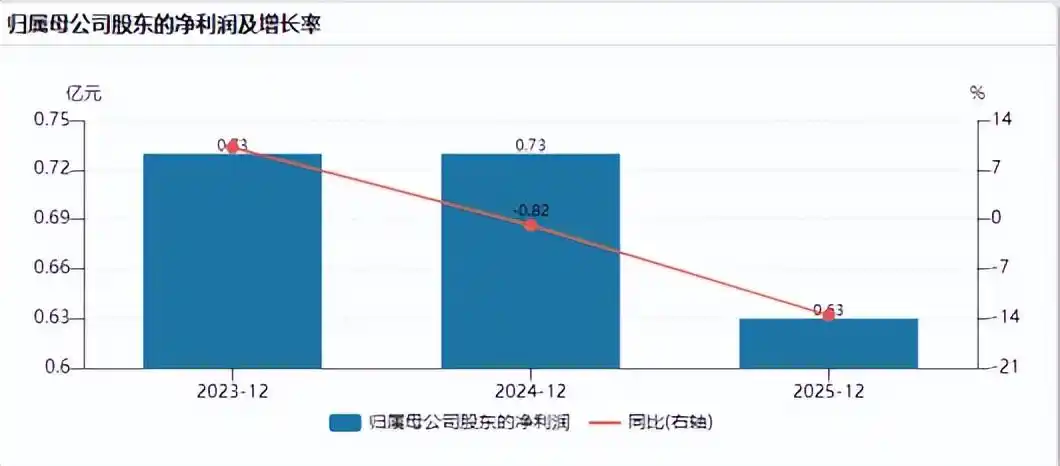 人形机器人
