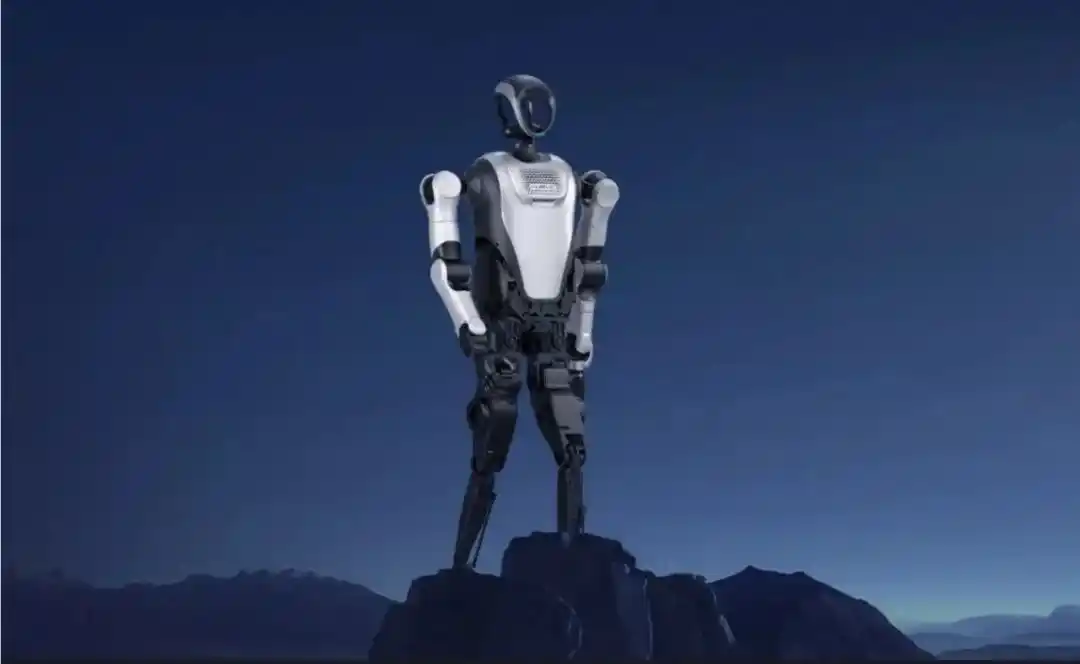 人形机器人