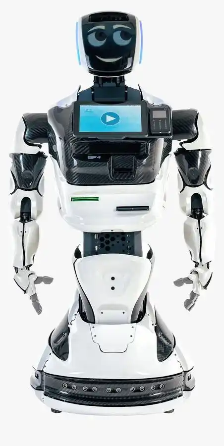 人形机器人