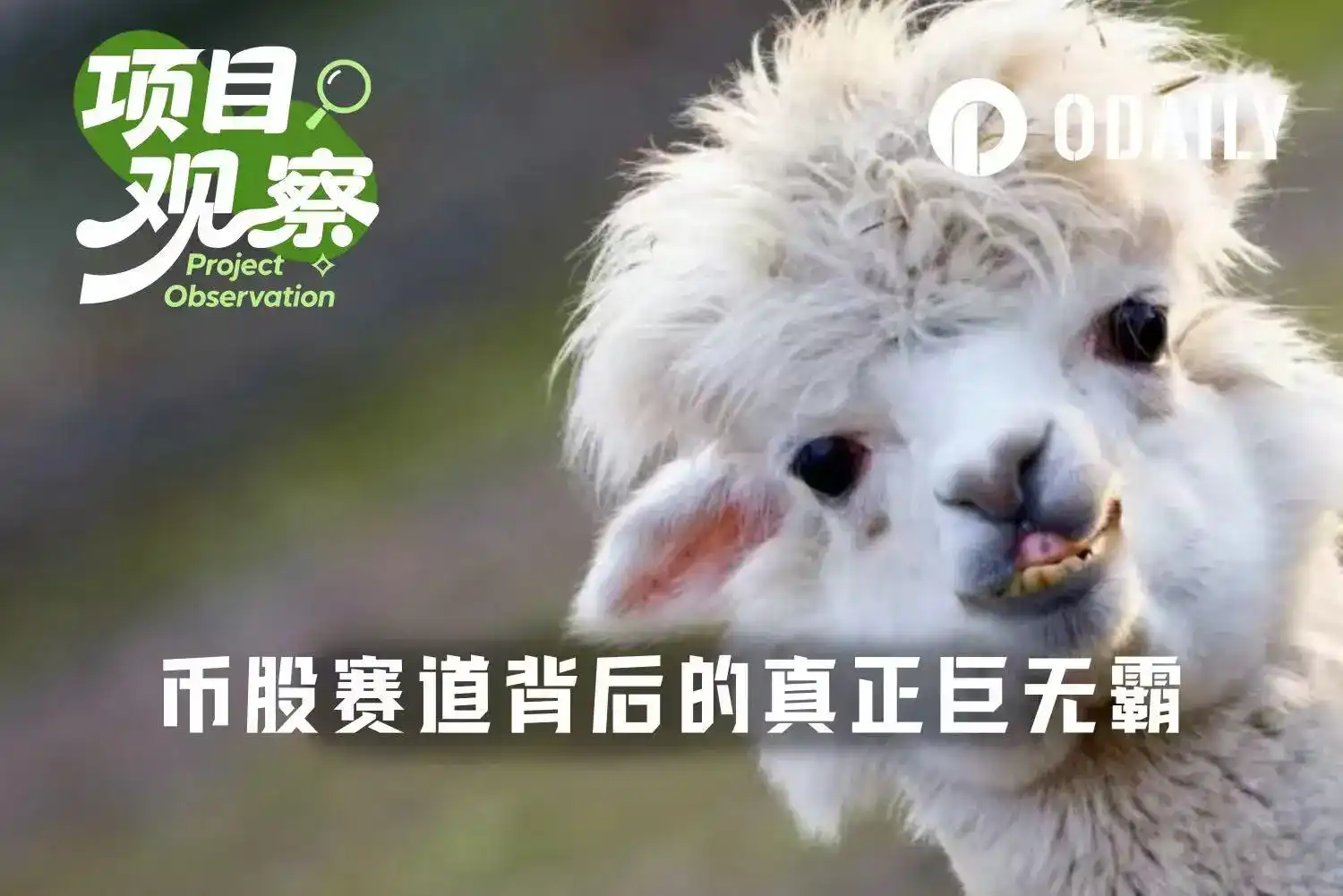 美股代币化