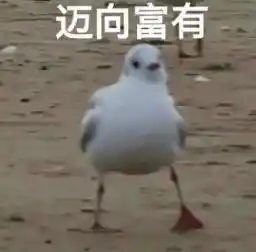 系统软件