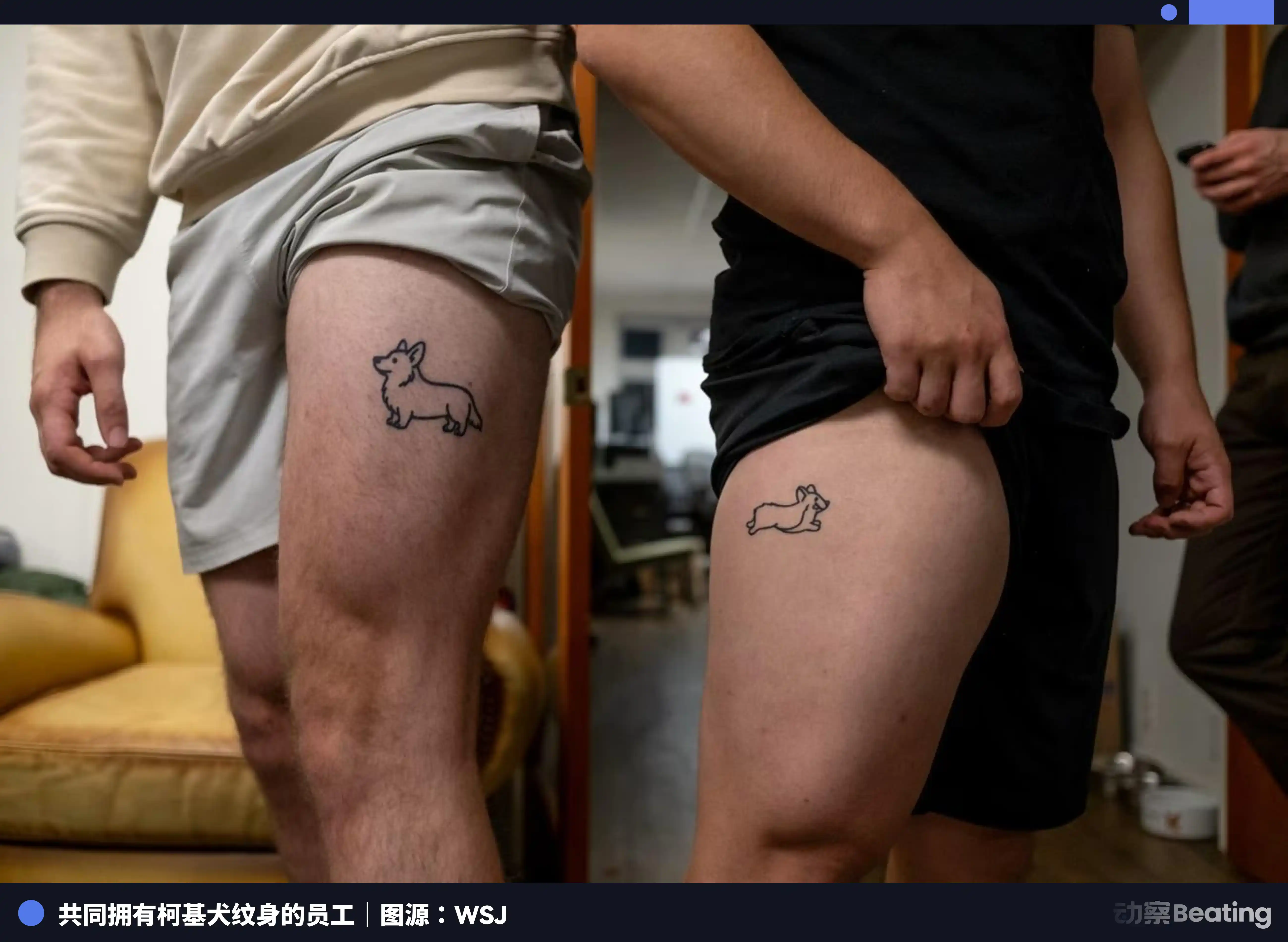 保险科技