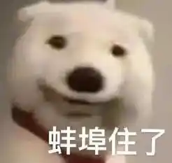 UC伯克利