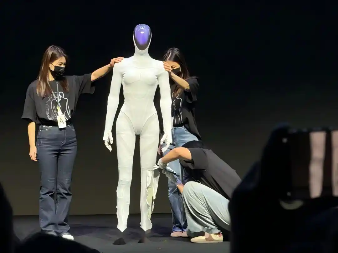 人形机器人