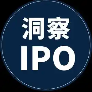 洞察IPO