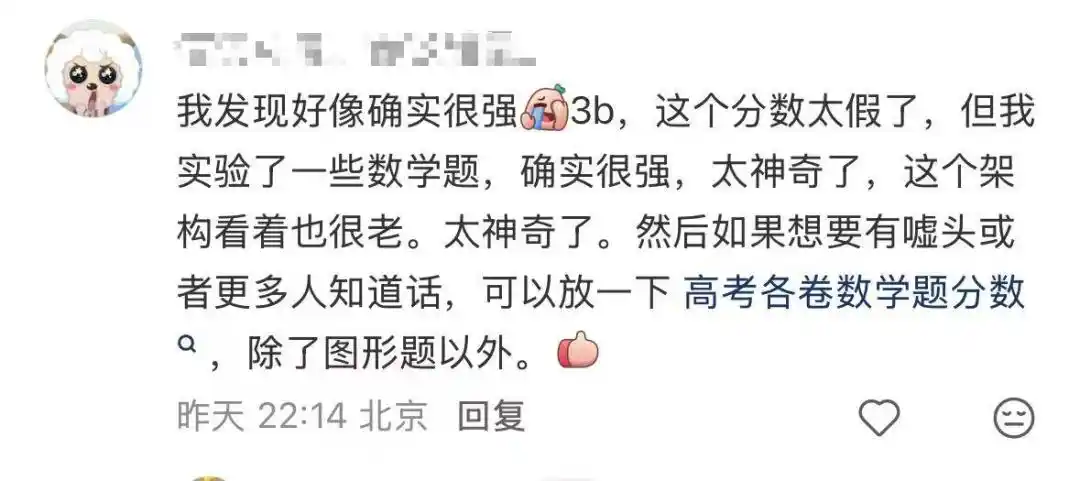 可验证推理