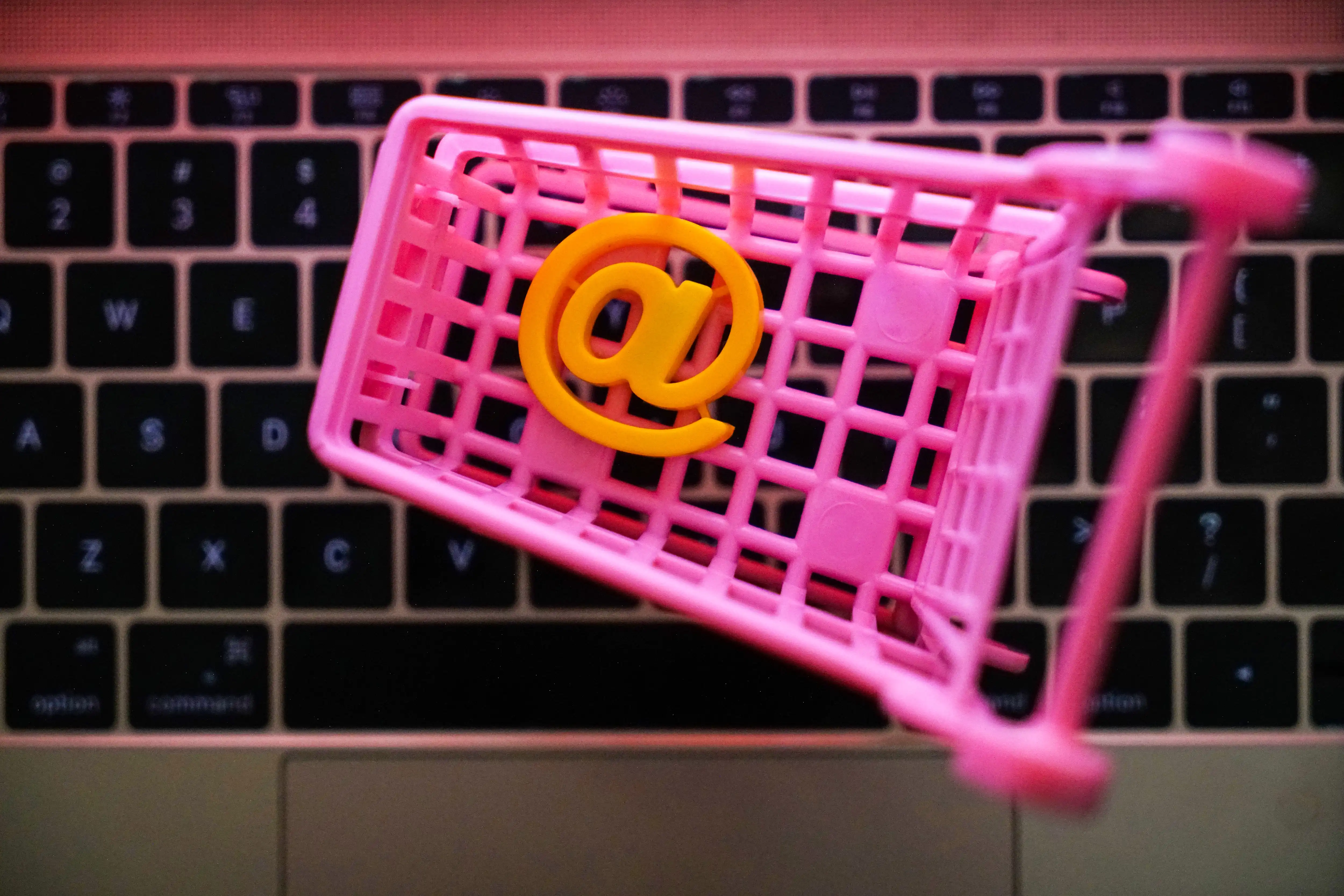 新品类