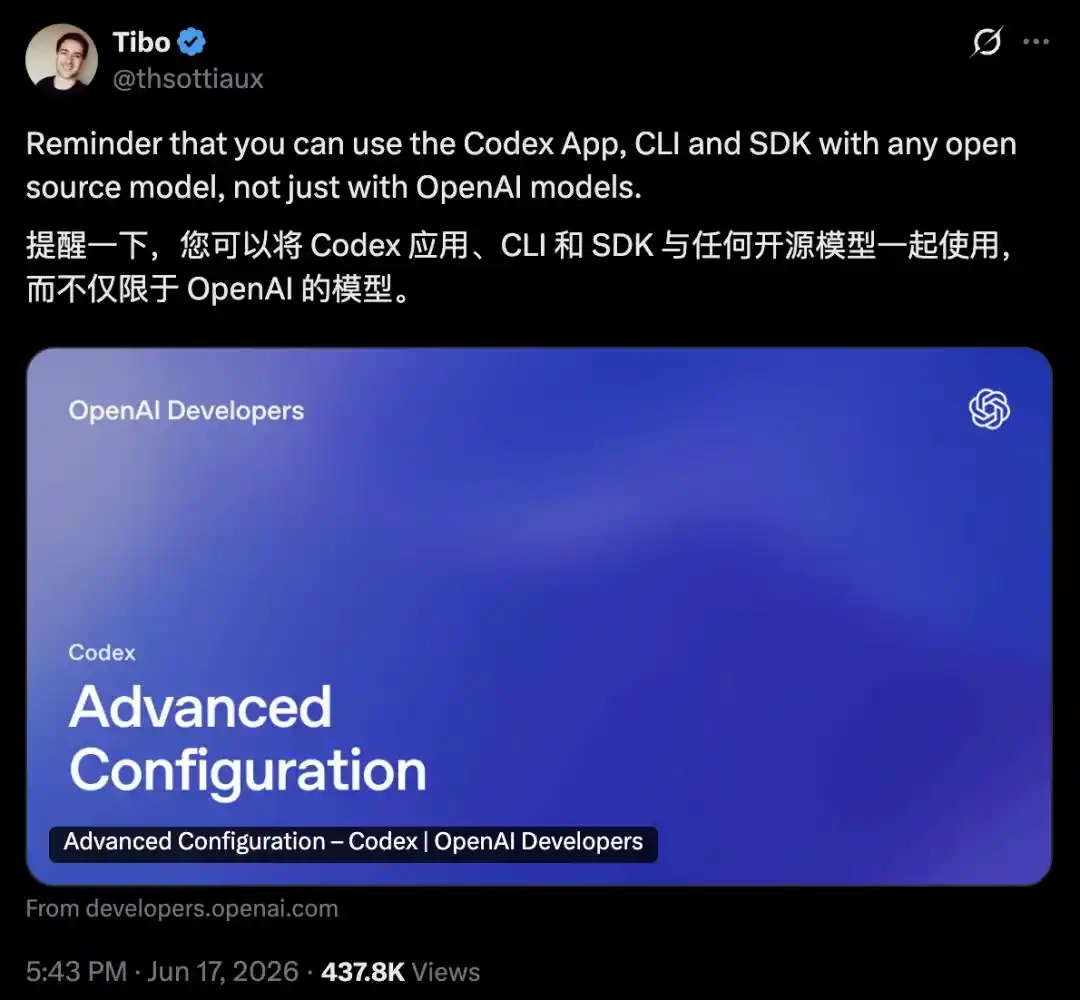开源模型