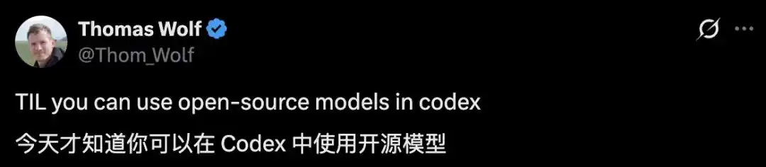 开源模型