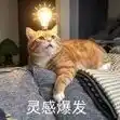 生物制造