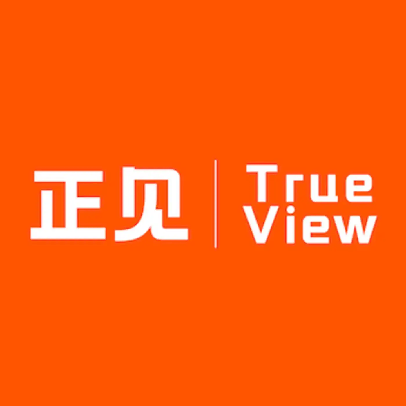 正见TrueV...