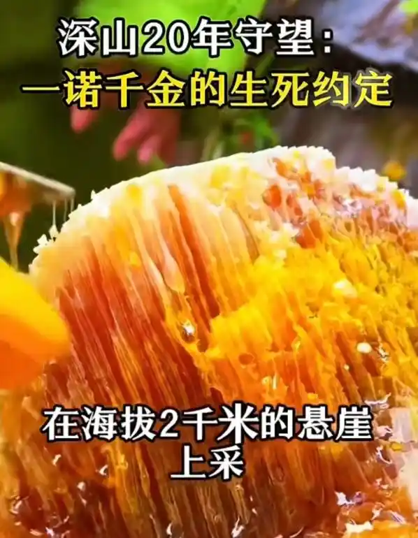 中老年消费