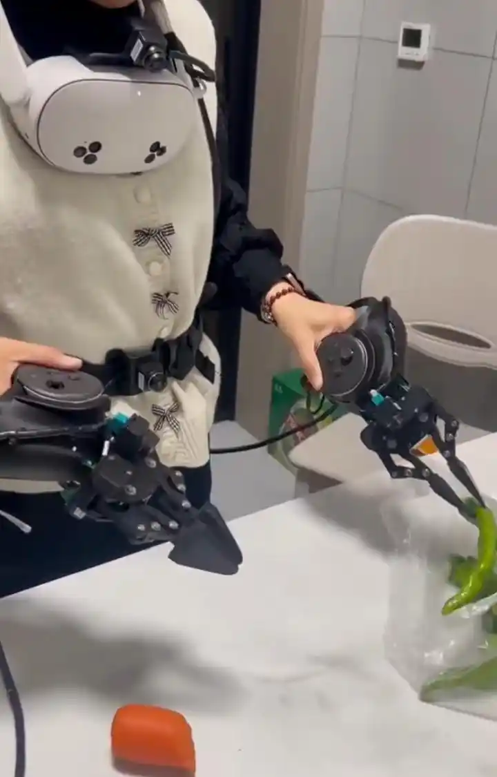 具身智能