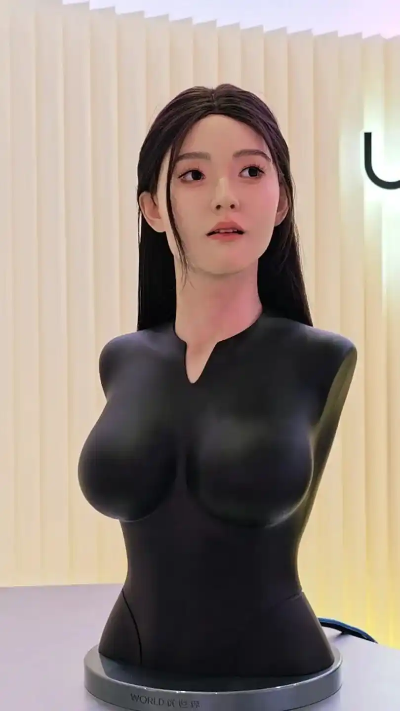 人形机器人