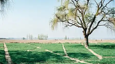 骨质疏松,AI医疗,心理健康