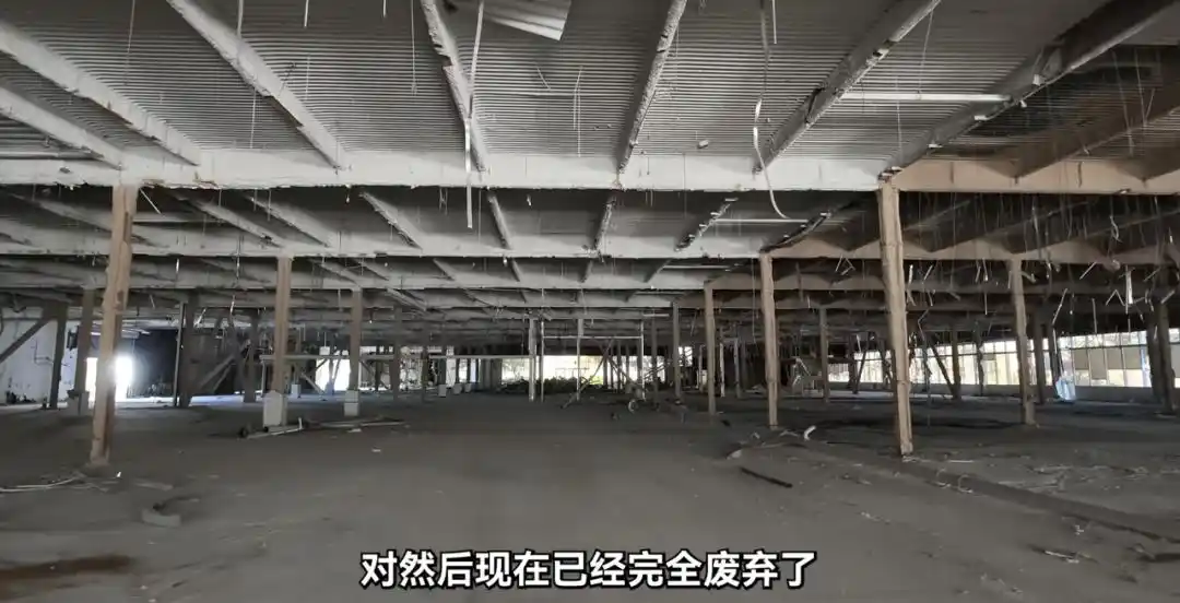 机器人