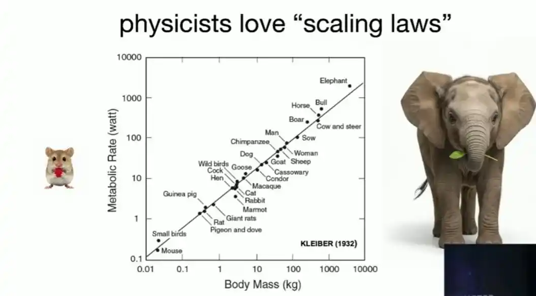 物理学