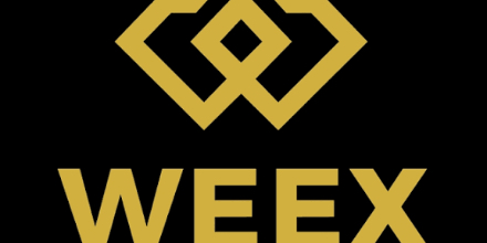 跟单交易、WEEX、风险控制