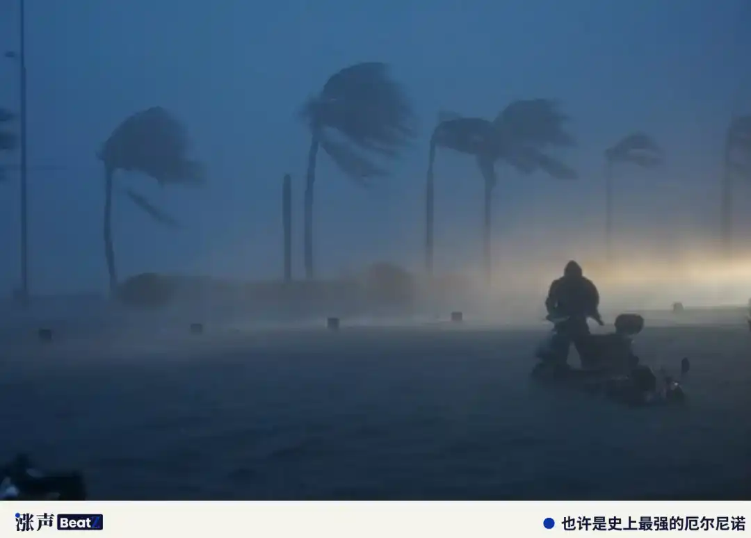 棕榈油