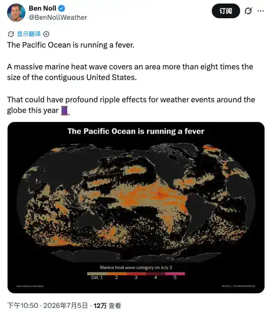 棕榈油