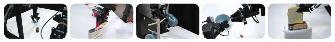 RoboDojo