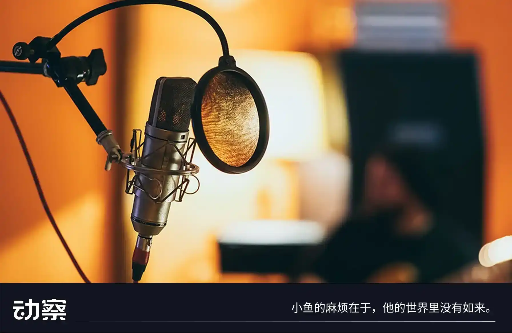 声音侵权