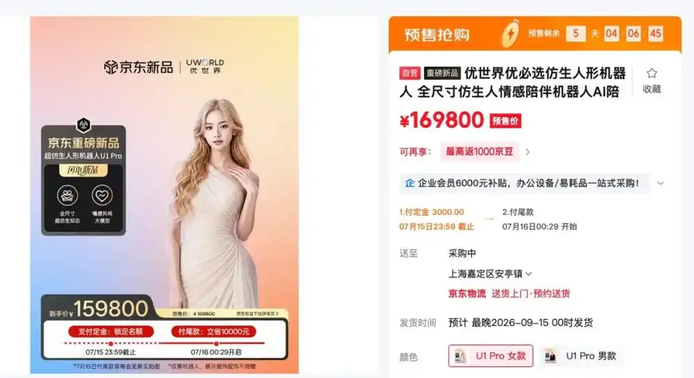人形机器人
