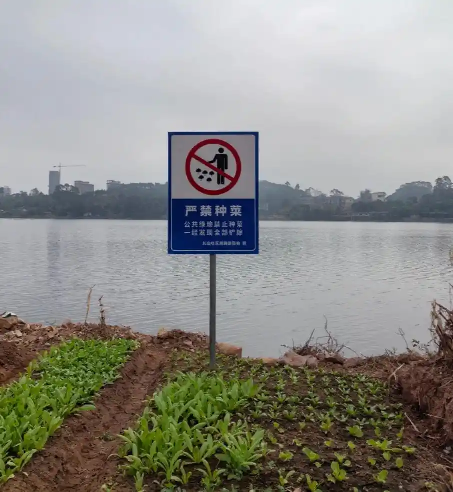 垂直农业