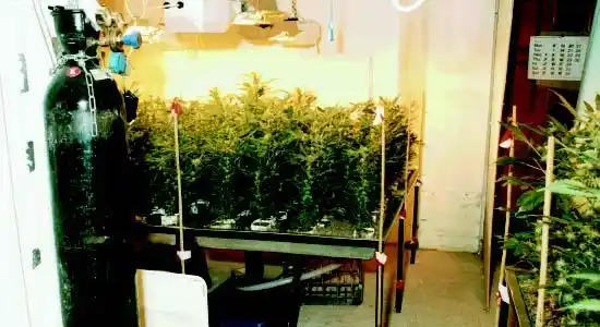 垂直农业
