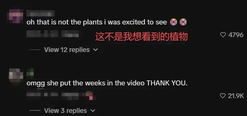 垂直农业