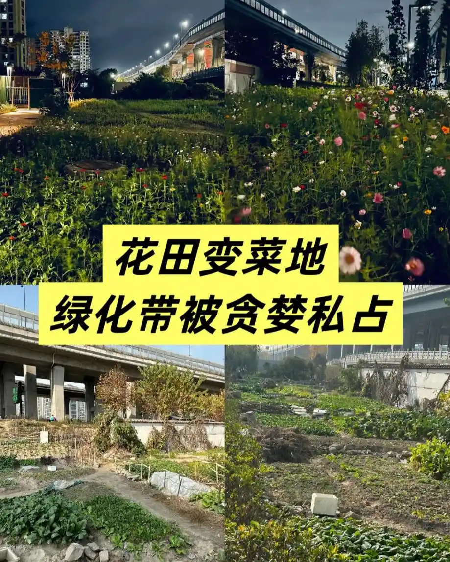 垂直农业