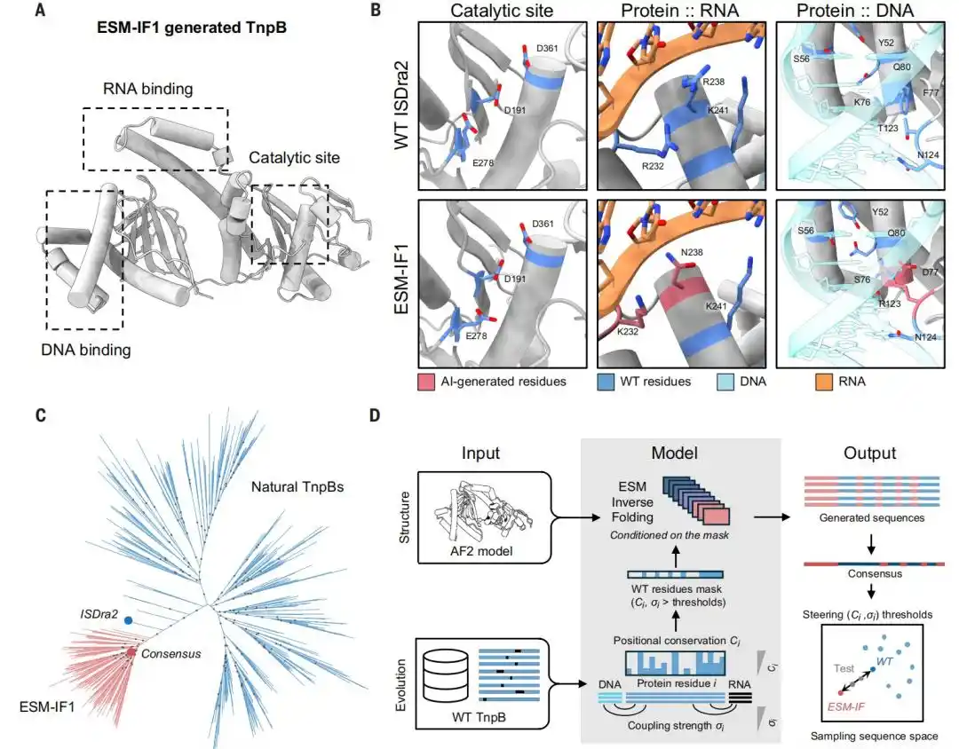 CRISPR