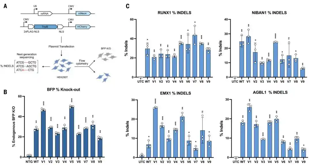 CRISPR