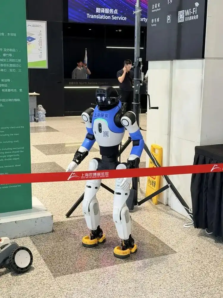人形机器人