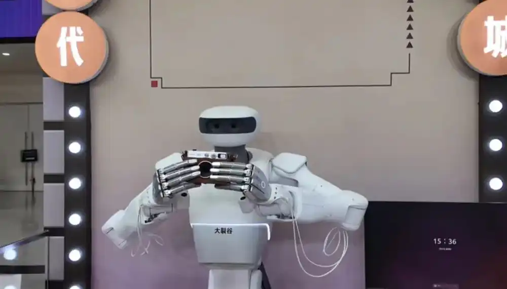 人形机器人