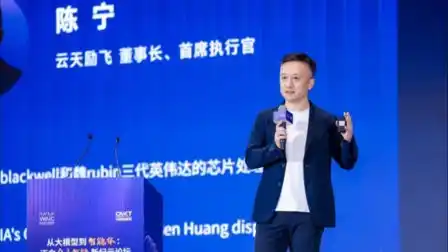 云天励飞,推理芯片,GPNPU