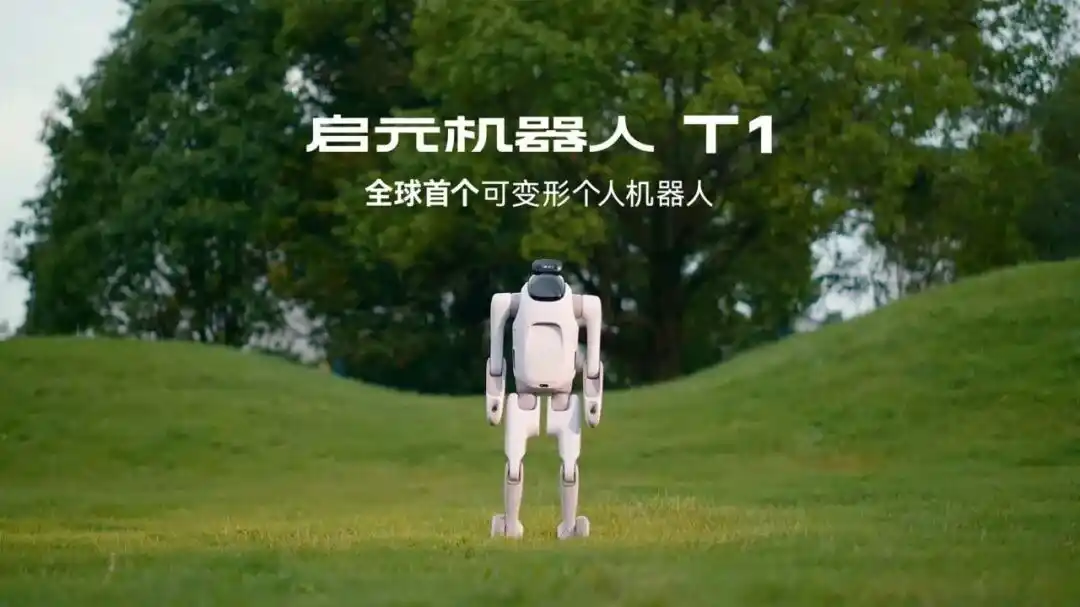 机器人