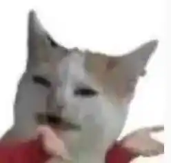元认知