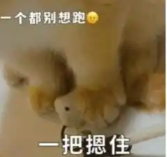 元认知